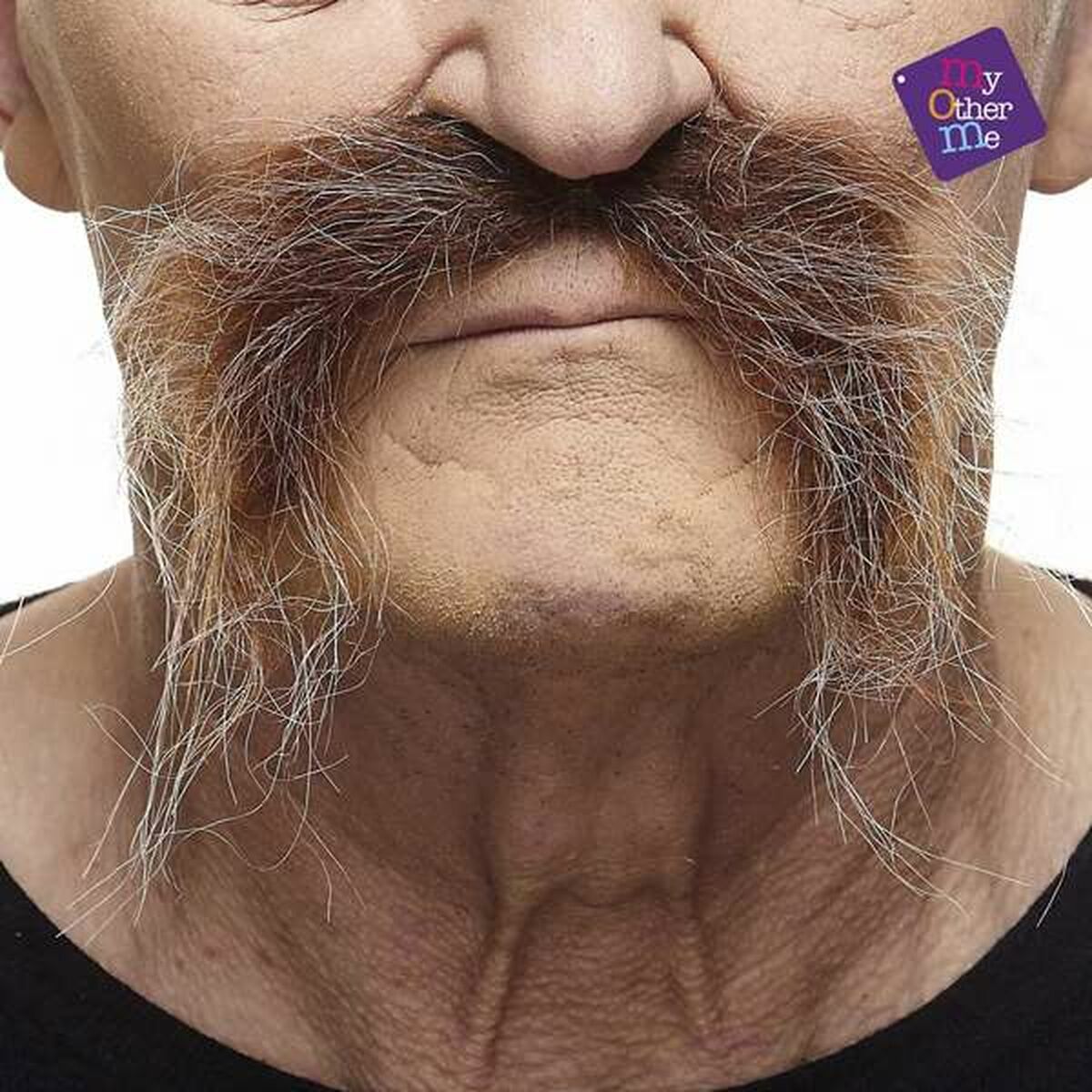 V6HC4CF5BB774437942A1A1104E16D0D90BR7075488P2